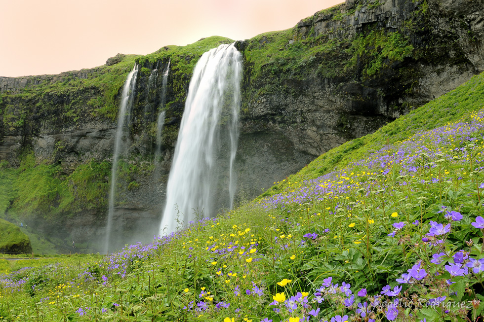 Imagen 17 de la galería de Islandia